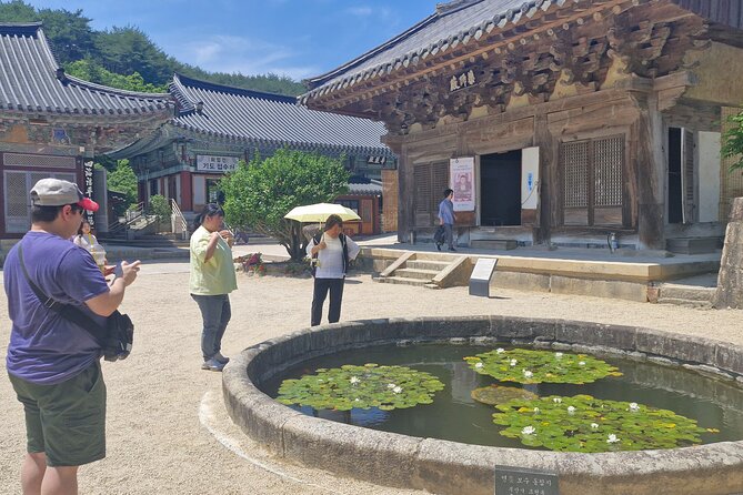 Busan Comfortable Private Tour For 4hours - Gukje Market for food, shopping, and street life