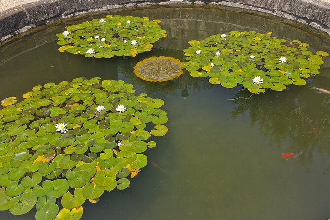 Busan Comfortable Private Tour For 4hours - Who will get the most from this Busan tour?