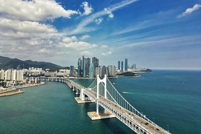 Busan Day Trip from Seoul by KTX - Private Tour with Local Guide - Songdo Cable Car Over the Coast