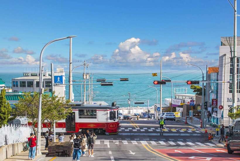 Busan: Full-Day City Tour with Taejongdae, Gamcheon & More - Who Will Get the Most from This Tour