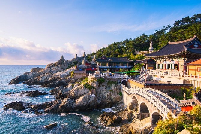 Busan: Fully Customizable Private Tour - Key points at a glance