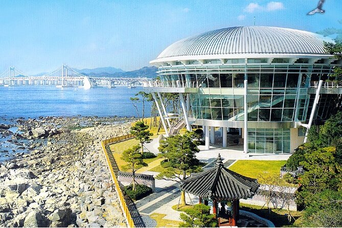Busan: Fully Customizable Private Tour - A Busan day built around you