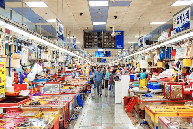 Busan: Fully Customizable Private Tour - The price and who gets good value