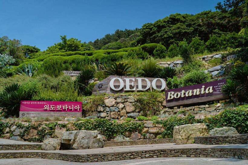 Busan: Geoje Coastal Escape, Sea Breeze, Oedo Botania Island - Key points at a glance
