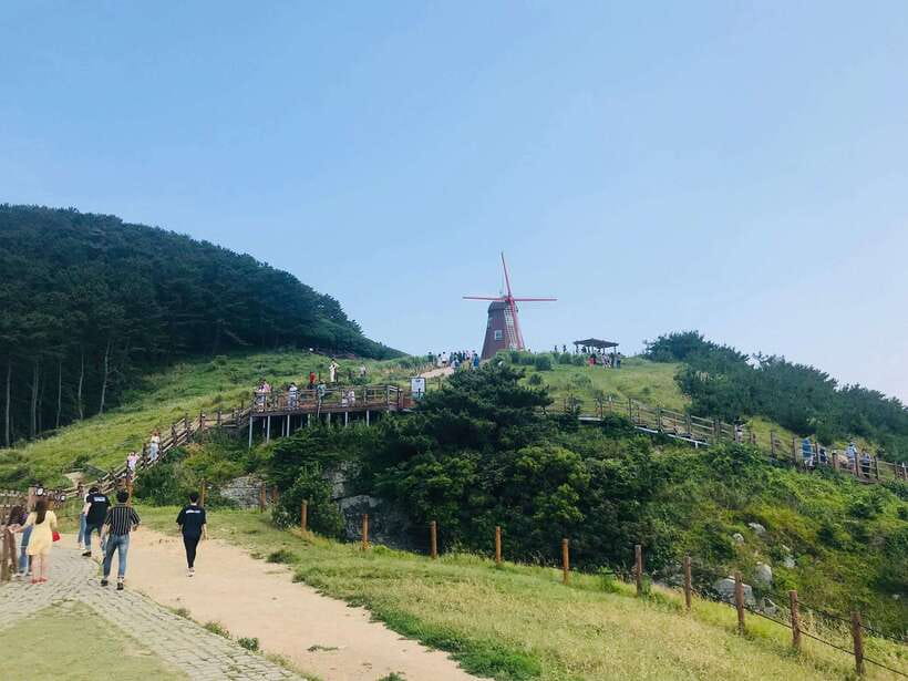 Busan: Geoje Coastal Escape, Sea Breeze, Oedo Botania Island - What the guide service adds