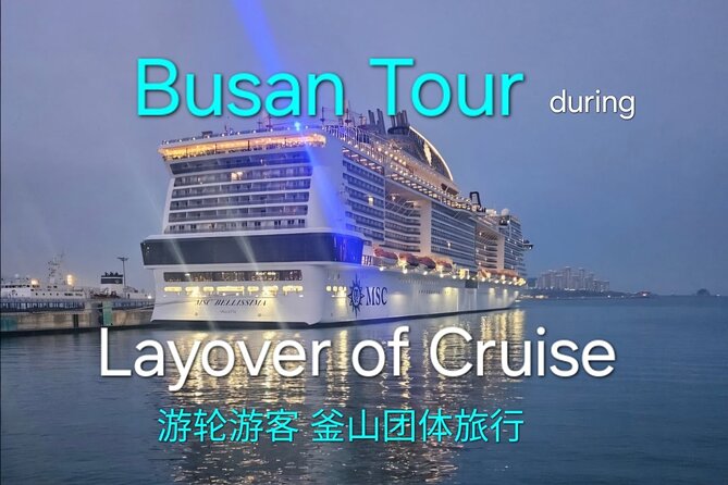 Busan Group Tour for Cruise ship passengers (Max 12 Guests) - Key points to know before booking