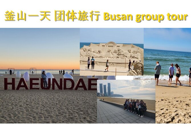 Busan Group Tour for Cruise ship passengers (Max 12 Guests) - Gamcheon Culture Village and its difficult past