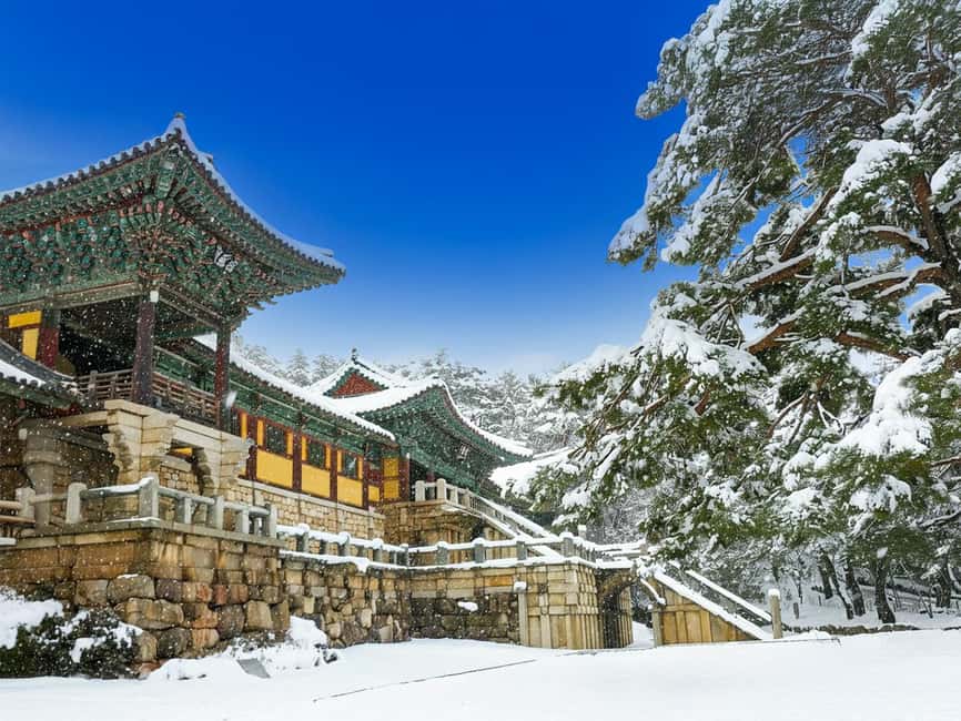 Busan: Gyeongju UNESCO Legacy Tour with National Museum - Why Gyeongju makes a worthwhile day from Busan