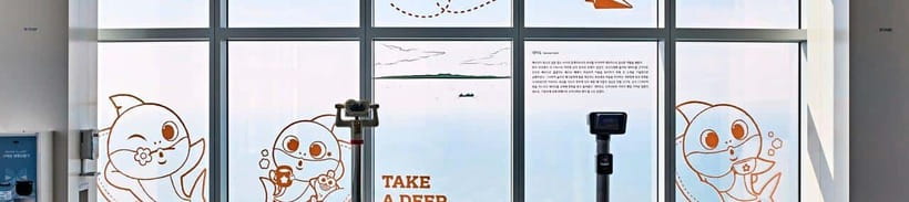 Busan: Haeundae LCT Tower 'X the Sky' Entry Ticket - Why sunset and night views are worth planning for