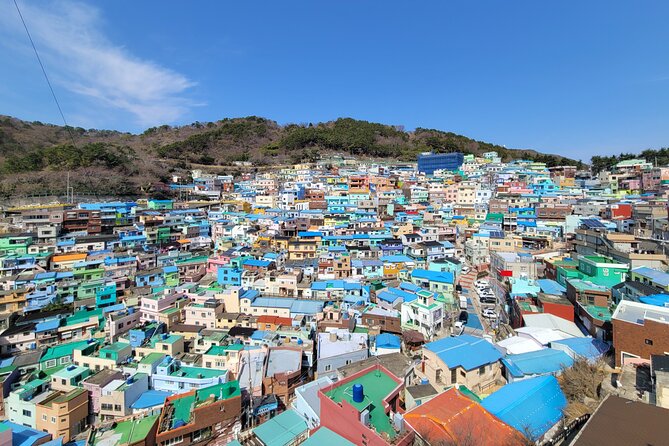 Busan Half-Day Customizable Private Tour in English - Key points at a glance