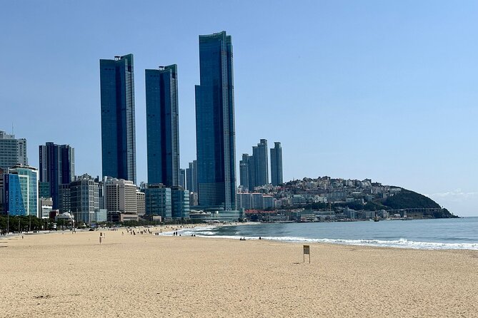 Busan Half-Day Customizable Private Tour in English - A useful way to see Busan in four hours