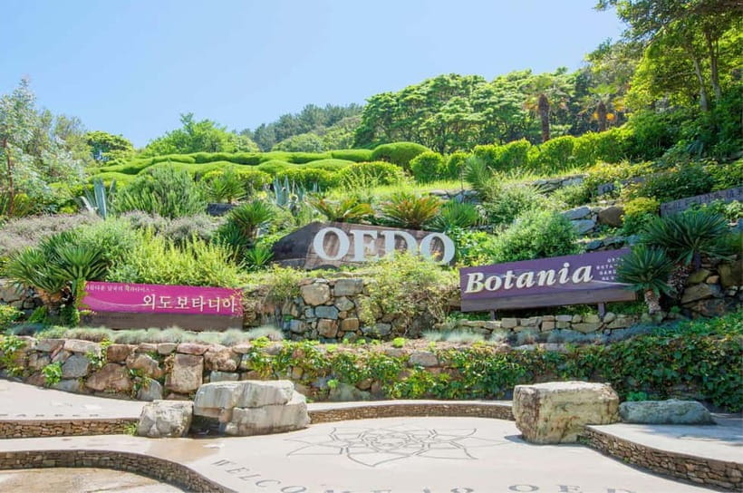 Busan: Hidden Gem Geoje & Oedo Botania Island & Cable car - Key points to know before booking
