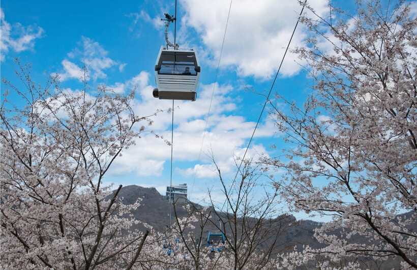 Busan: Hidden Gem Geoje & Oedo Botania Island & Cable car - Windy Hill and Geoje’s open coastal views