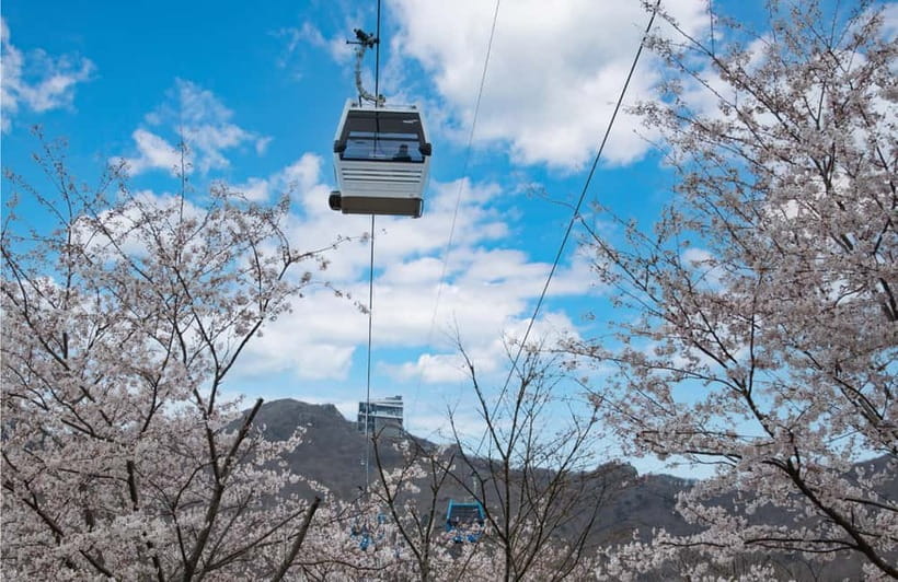 Busan: Hidden Gem Geoje & Oedo Botania Island & Cable car - The 100-minute ride to Geoje Island