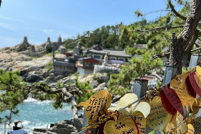 Busan Hidden Gems Private Tour and Car Service - Gamcheon Culture Village: color built on a difficult past