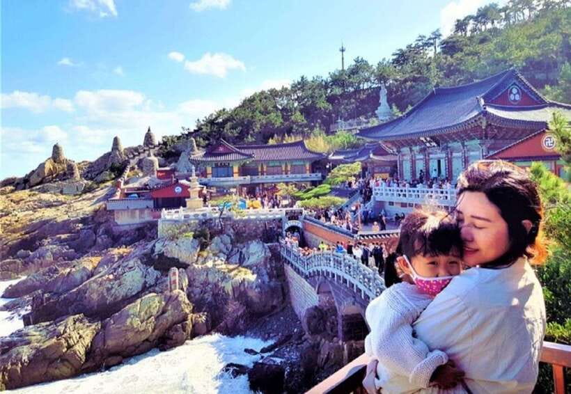 Busan: Hidden Gems Private Tour with a Certified Guide - Ahopsan Forest and its 400-year-old bamboo