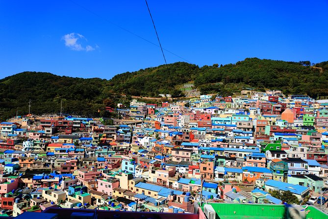 Busan Highlights Shore Tour – Cruise Return Assured - Songdo Sky Walk and Busan’s seafront