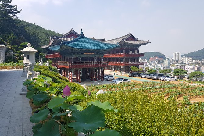 Busan Highlights Shore Tour – Cruise Return Assured - BIFF Square, Gukje Market, and the city’s food traditions