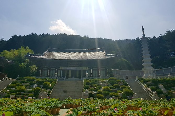 Busan Highlights Shore Tour – Cruise Return Assured - Hwangnyeongsan Mountain for Busan from above