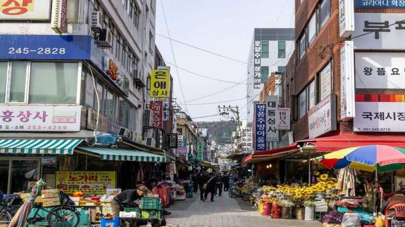 Busan: Jagalchi Market & Gamcheon village Walking Tour - What the $106 price buys you