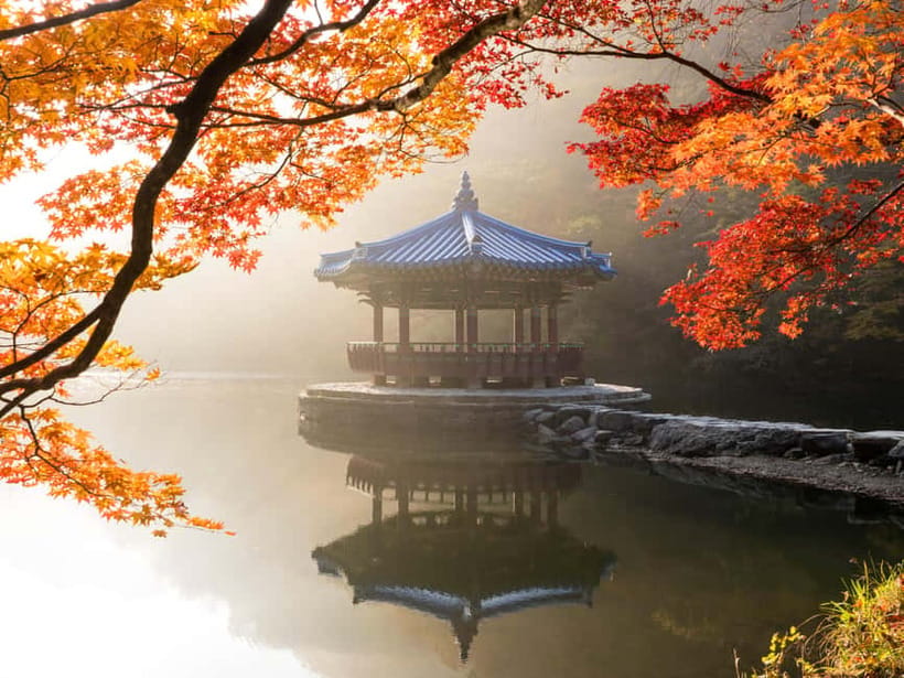 Busan: Naejangsan National Park Autumn Foliage One Day Tour - Arriving around 10:40 AM and taking the park shuttle