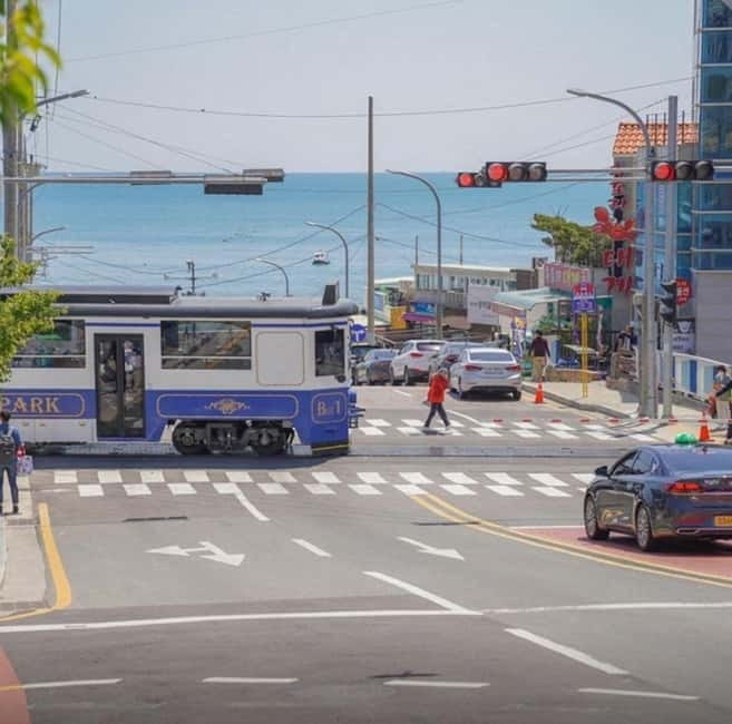 Busan: Private Chartered Car Tour - Key points at a glance