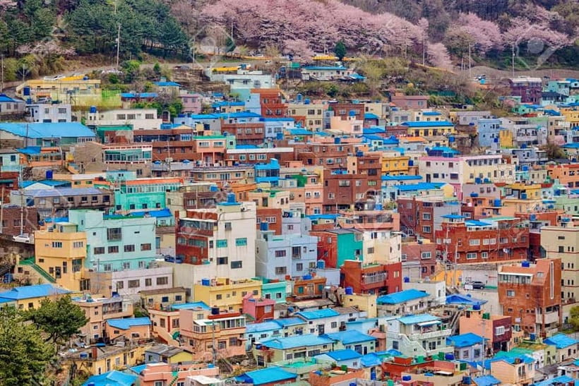 Busan: Private Chartered Car Tour - Gamcheon Culture Village and Songdo Skywalk