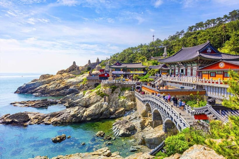 Busan: Private Chartered Car Tour - Building a nine-hour Busan route