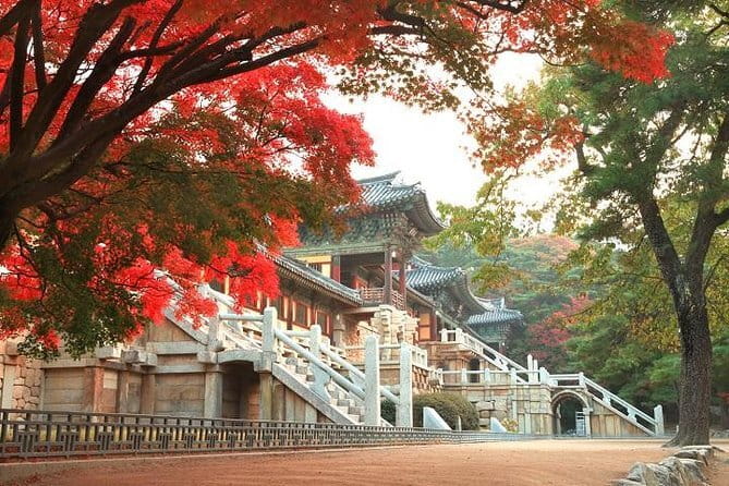Busan private tour in English or Mandarin - Dongbaekseom and the APEC House walk