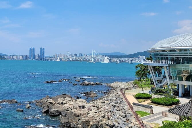 Busan private tour : K-pop dance class + tour - Looking through the floor at Oryukdo Skywalk