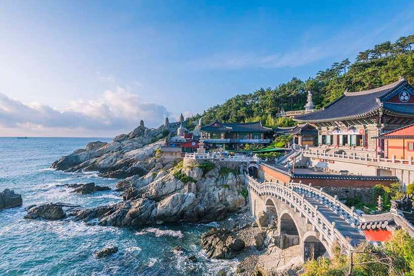Busan's Best: Sea Temples, Yacht Tour & Sky Capsule Day Tour - What the $89 price really covers