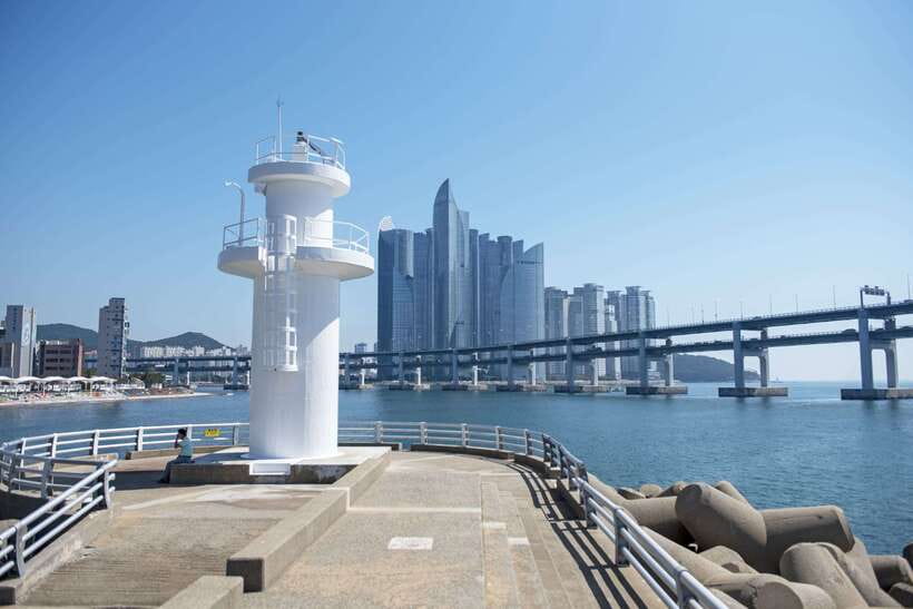 Busan's Best: Sea Temples, Yacht Tour & Sky Capsule Day Tour - Who should book this day