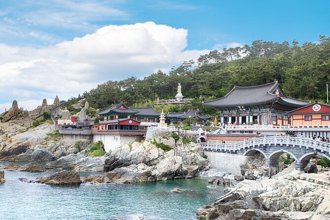 Busan's Cultural Wonders with Beach Train & Gamcheon Village etc - The pace, transport, and group size