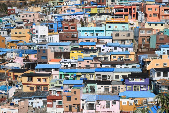 Busan Sightseeing Tour Including Gamcheon Culture Village and Beomeosa Temple - Hwangnyeongsan and the high view of Busan