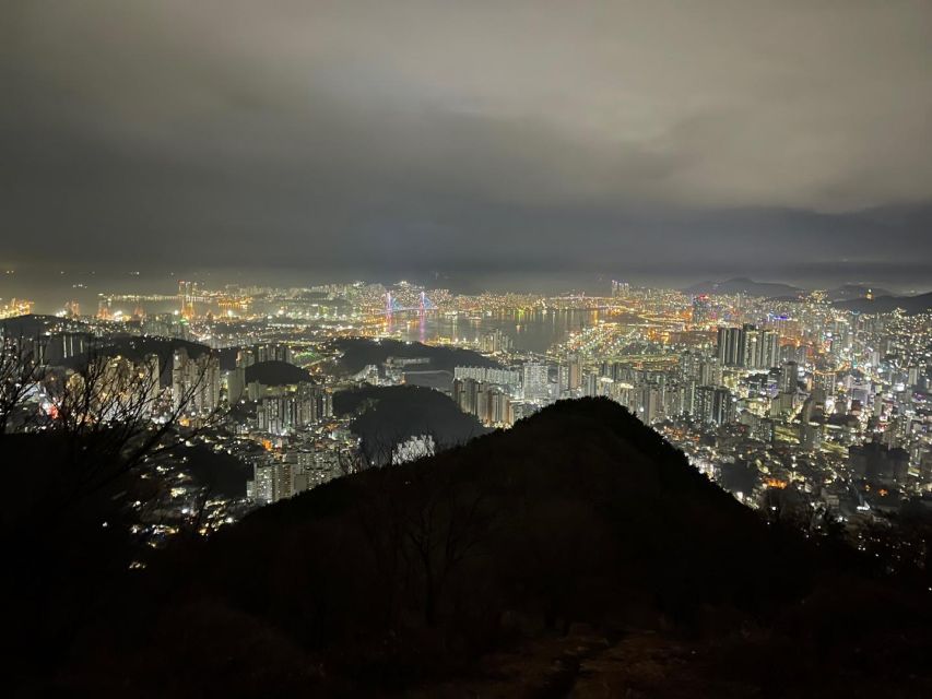 Busan: The Best Night View Small Group Tour - Who will get the most from this outing