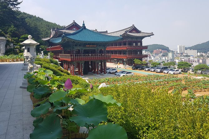 Busan Tour: Gamcheon Village & Haedong Yonggungsa Temple + Lunch - Haedong Yonggungsa Temple by the sea