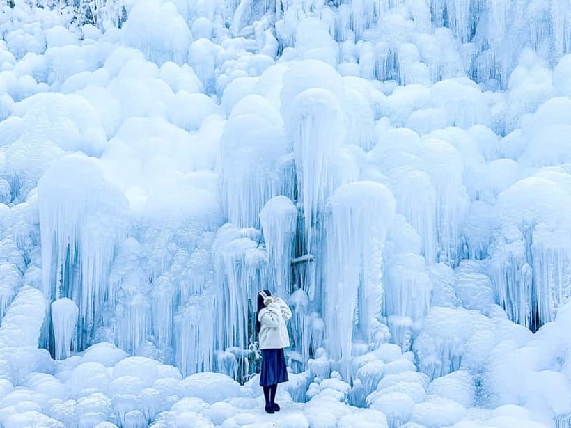 Busan: Winter Healing Park and (Gyeongju/Daegu) One Day Tour - Key points to know before you book