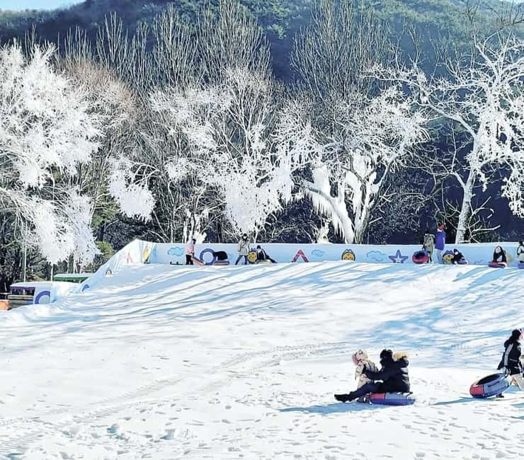 Busan: Winter Healing Park and (Gyeongju/Daegu) One Day Tour - Pick Daegu for market food and changeable winter scenery