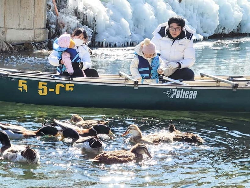 Busan: Winter Healing Park and (Gyeongju/Daegu) One Day Tour - Guides add useful help, not just commentary
