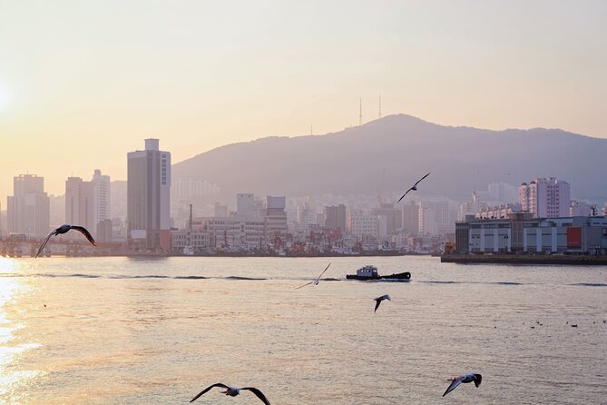 Colors of Busan: Sky Capsule, Jagalchi Market & Night Views - Key Points Before You Book