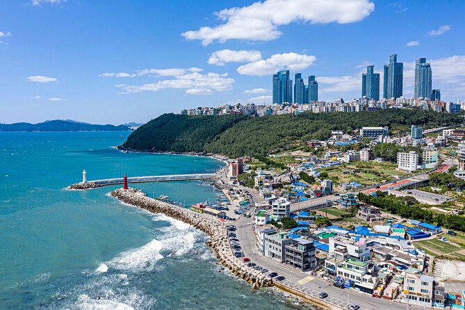 Colors of Busan: Sky Capsule, Jagalchi Market & Night Views - P.ARK Cafe and Busan After Dark