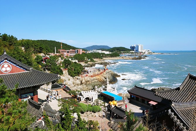 Cruise Layover Busan Highlight Tour with Sea temple and Gamcheon - Why this Busan shore tour works well