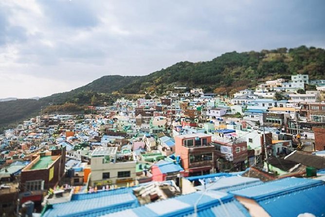 Cruise Layover Busan Highlight Tour with Sea temple and Gamcheon - Jagalchi Market and the food side of Busan