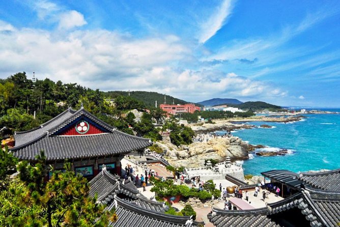 Cruise Layover : Small Group Busan Highlight Day Tour - Gamcheon Culture Village and its steep lanes