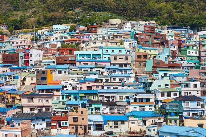 Cruise Layover : Small Group Busan Highlight Day Tour - Gukje Market, only 20 minutes to browse