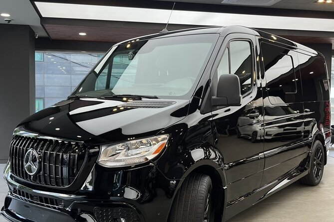 Customizable Private Seoul Tour in luxury van for VIP - Changdeokgung Palace and its Secret Garden
