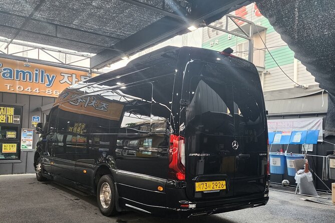 Customizable Private Seoul Tour in luxury van for VIP - What the $700 group price really buys