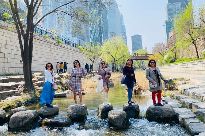 Customizable Seoul Private Tour Palaces Food and Markets - What the private van changes