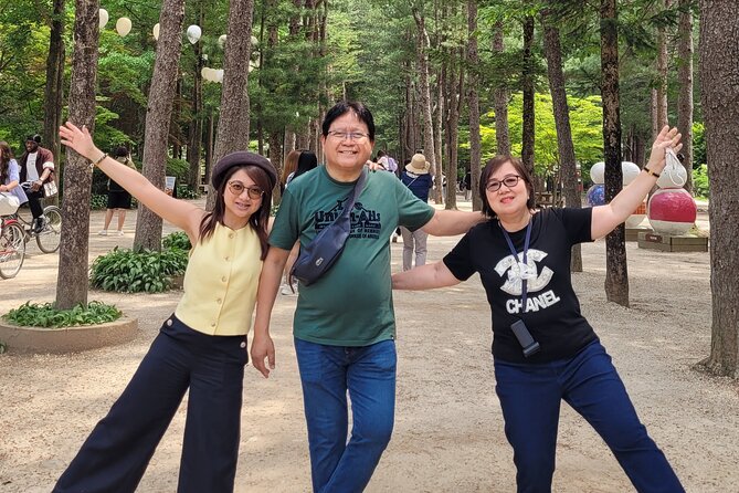 Customized Private Nami island with optional tour - The 90-minute ride from Seoul