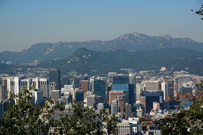 Customized Private Seoul tour: Palace, Market etc(Airport Option) - Palaces, old lanes, and Seoul’s royal past